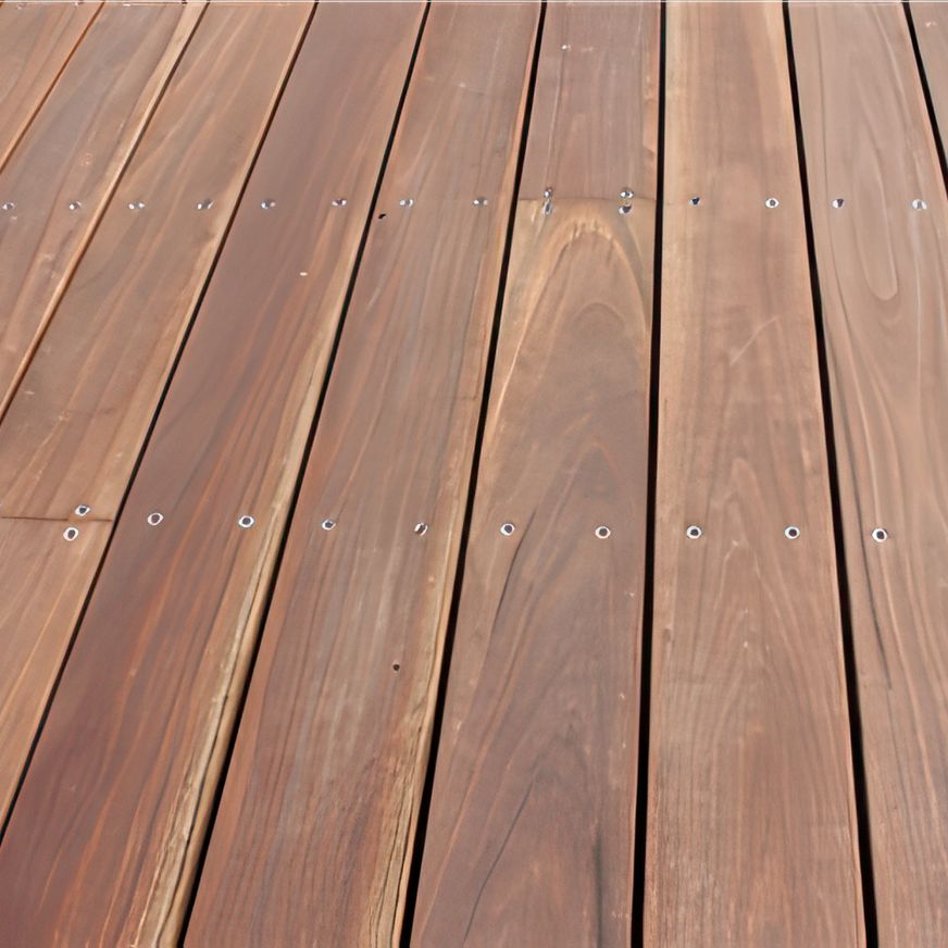 Spotted Gum