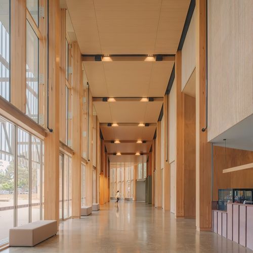 Mass Timber