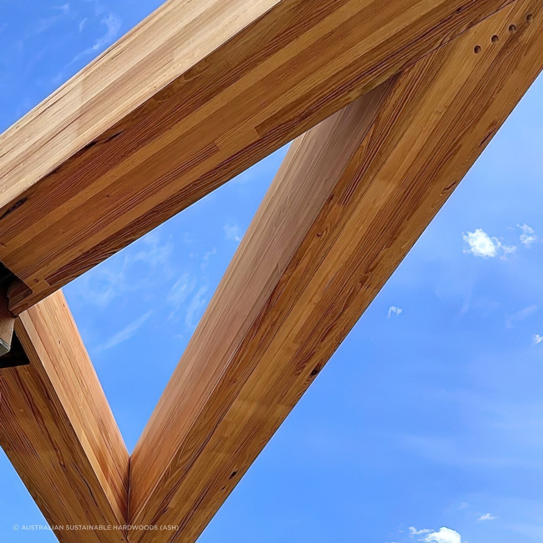 Mass Timber