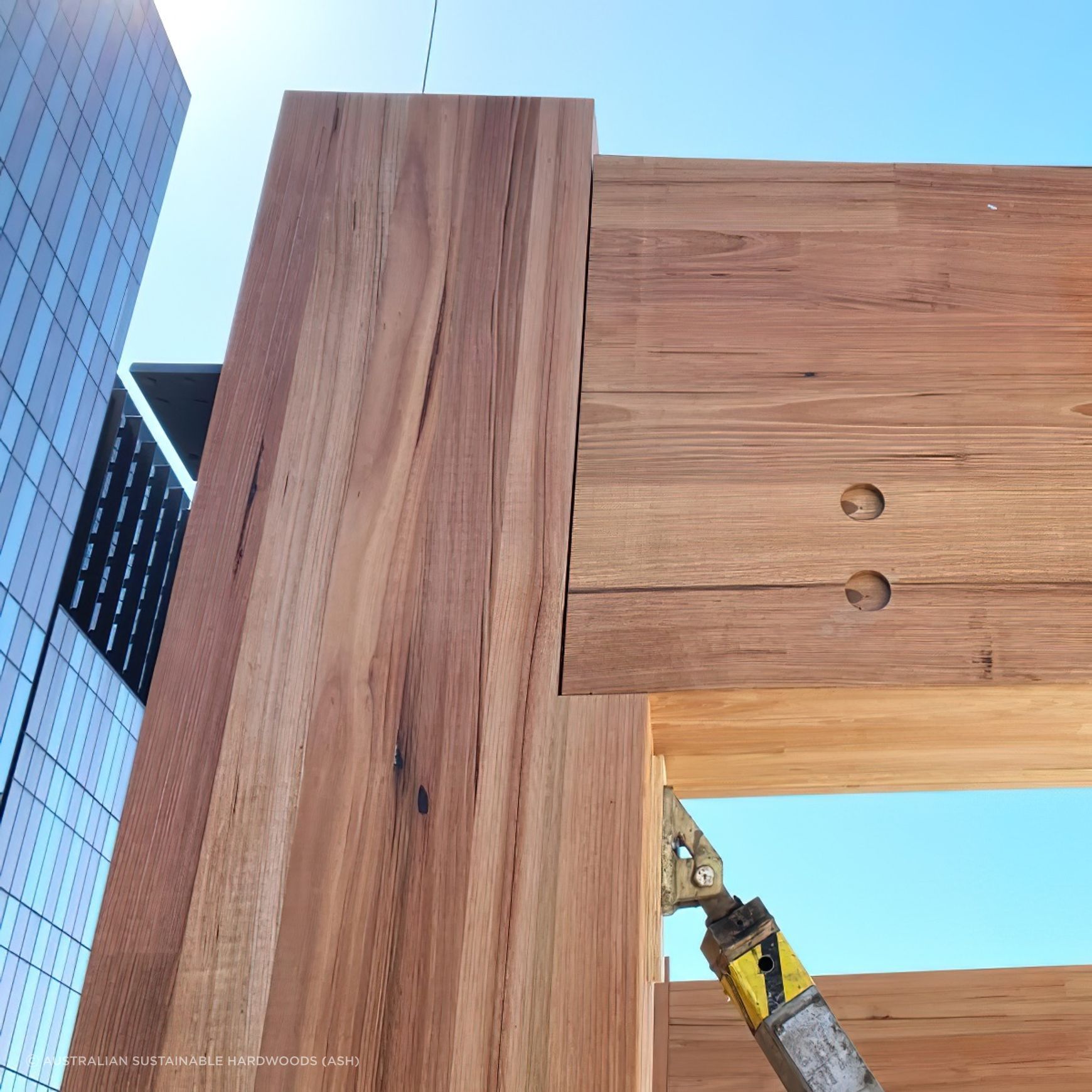 Mass Timber