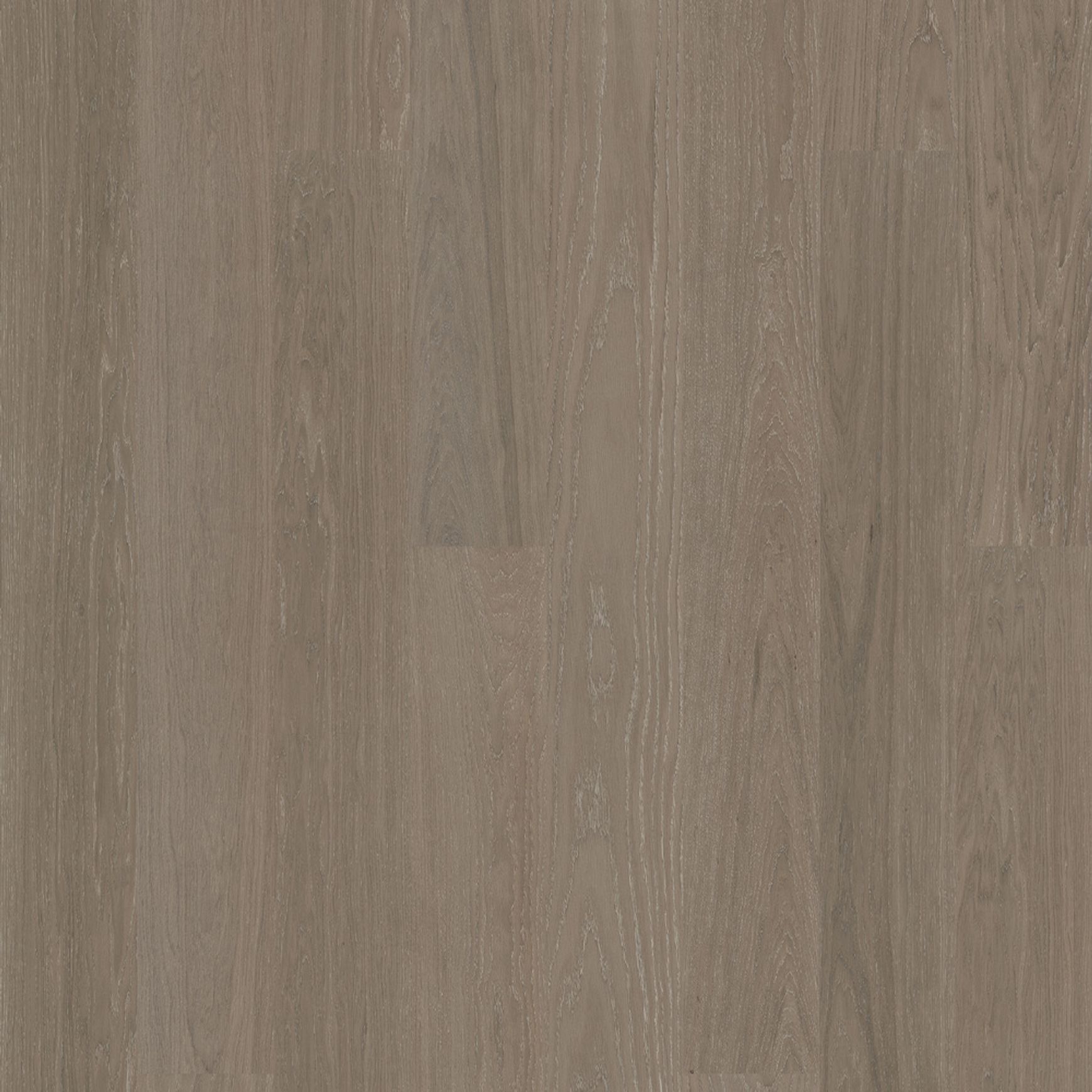 Bjelin XL Contrast Silver | Nature Grade