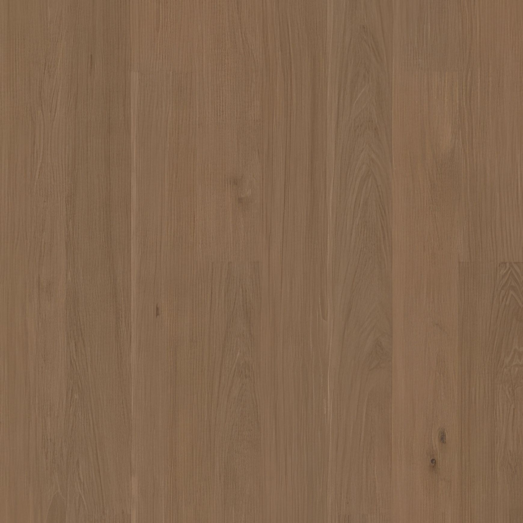 Bjelin Hardened Timber Flooring Range