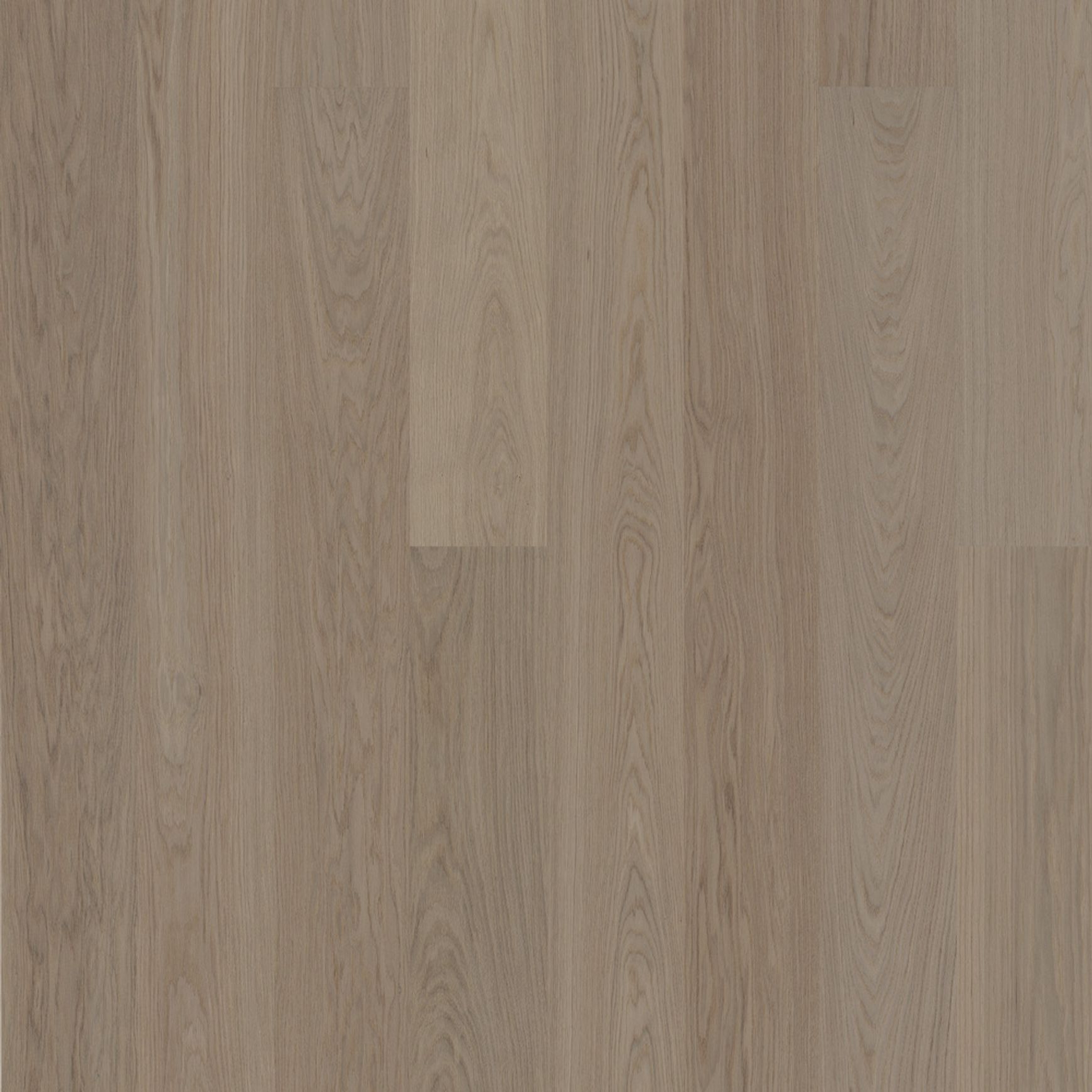 Bjelin S 151 Earth Grey | Blend