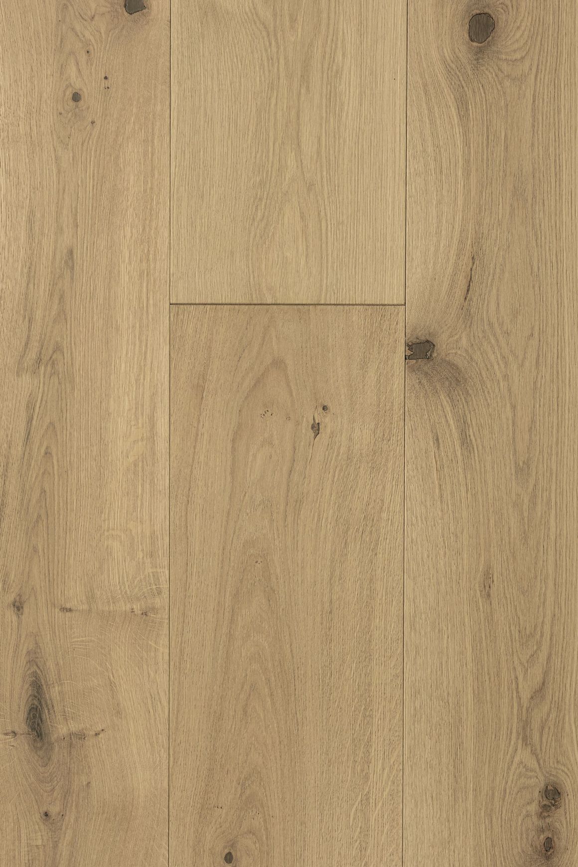 Indus Mojave Feature European Oak Flooring