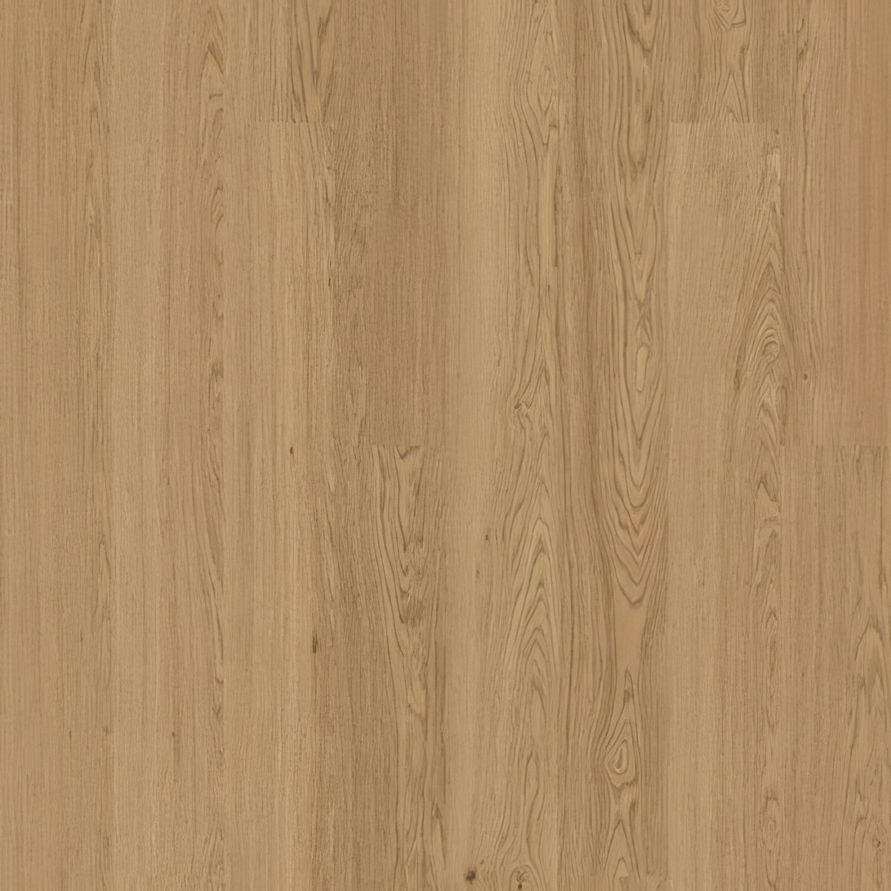 Bjelin Hardened Timber Flooring Range