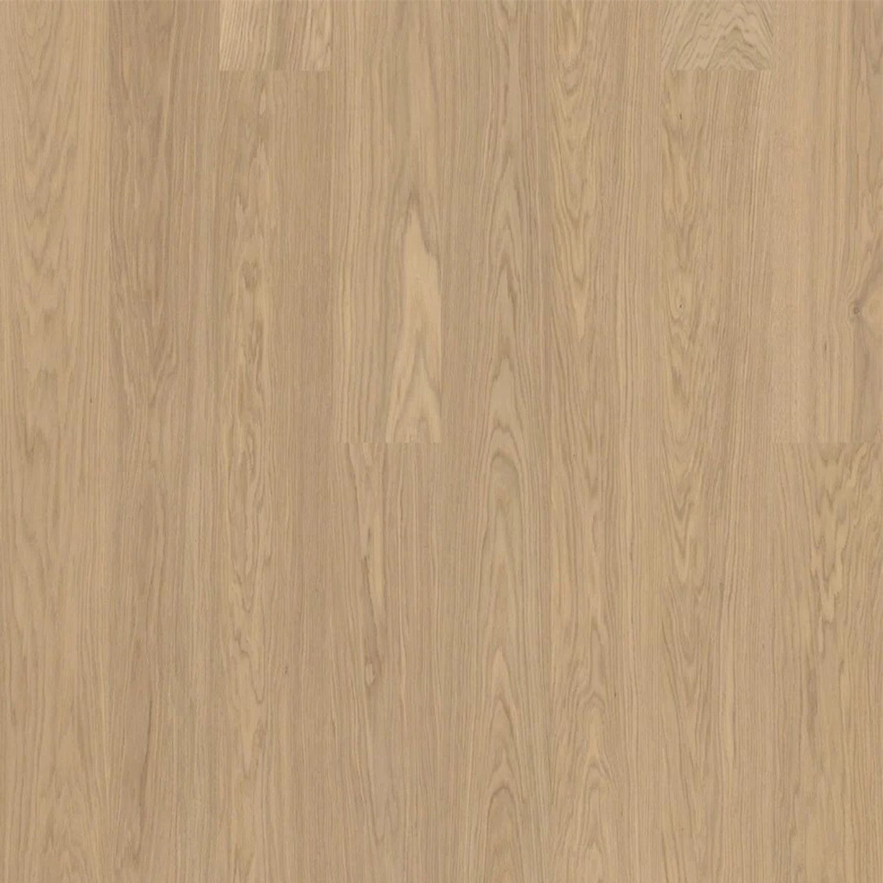 Bjelin M 151 Misty White Oak | Blend