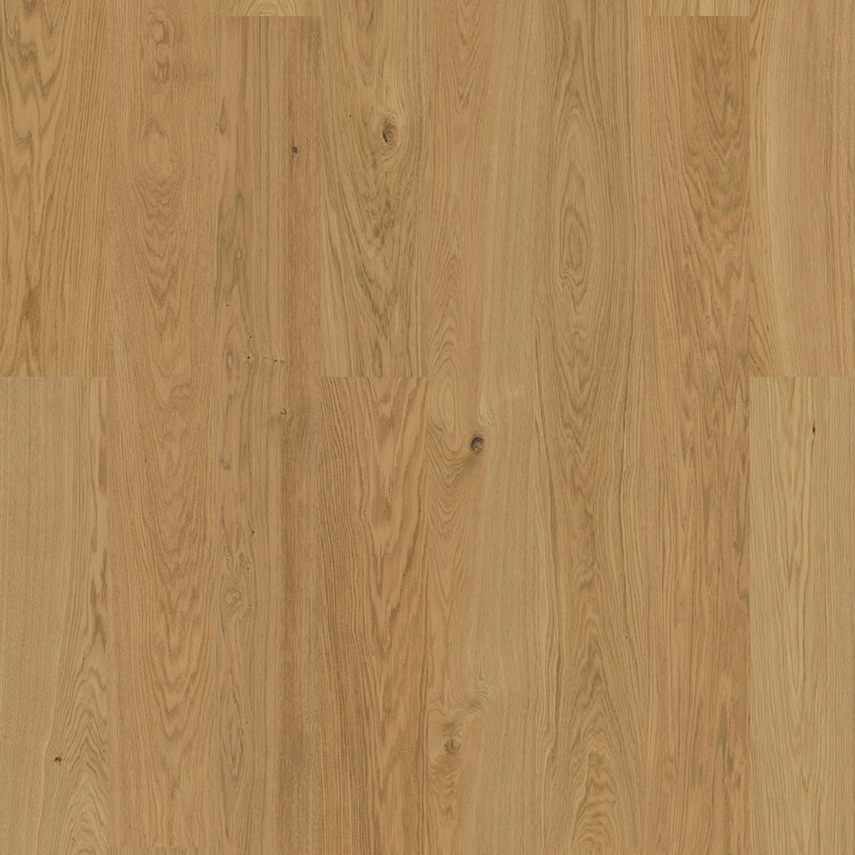 Bjelin XL 206 Natural | Nature Grade