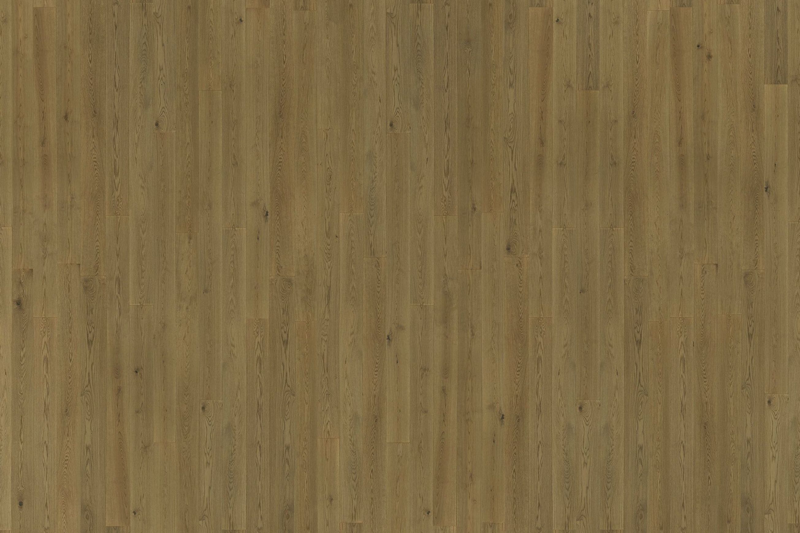Kimber | Solid European Oak Floor Boards