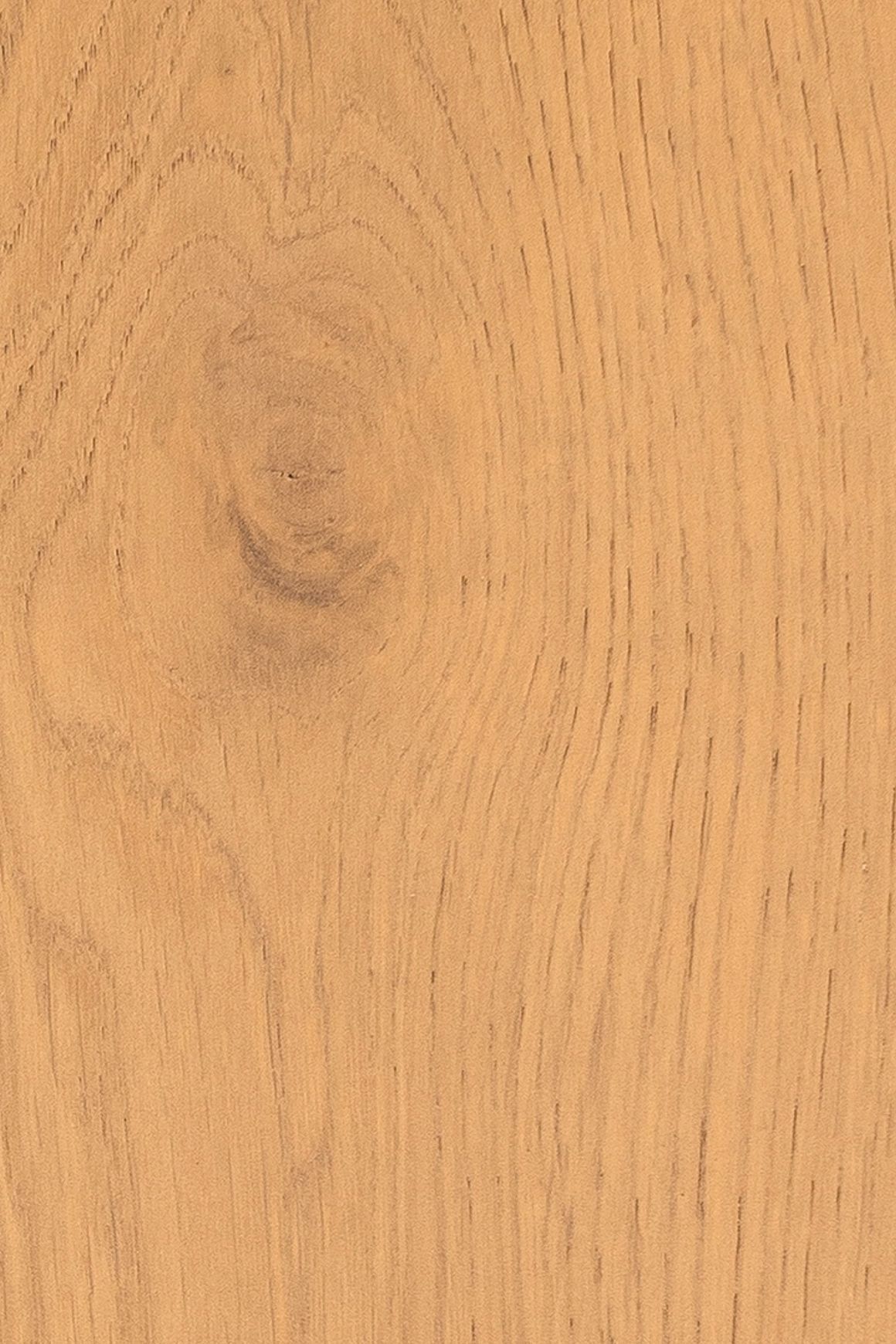 DOMO | TRUNK™ Timber Flooring | 220mm Wide Plank