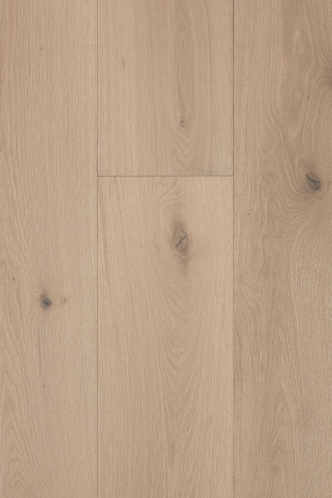 Moda Amalfi Feature Plank Timber Flooring