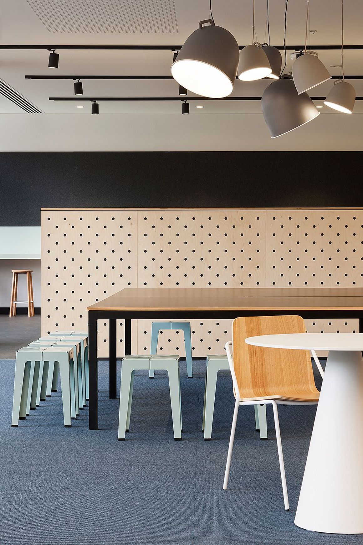 DesignerPly Perforated