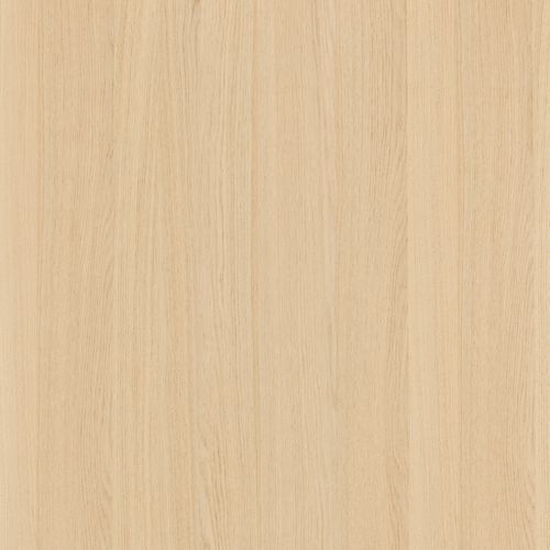 Milk Oak Shinnoki Prefinished Timber Veener