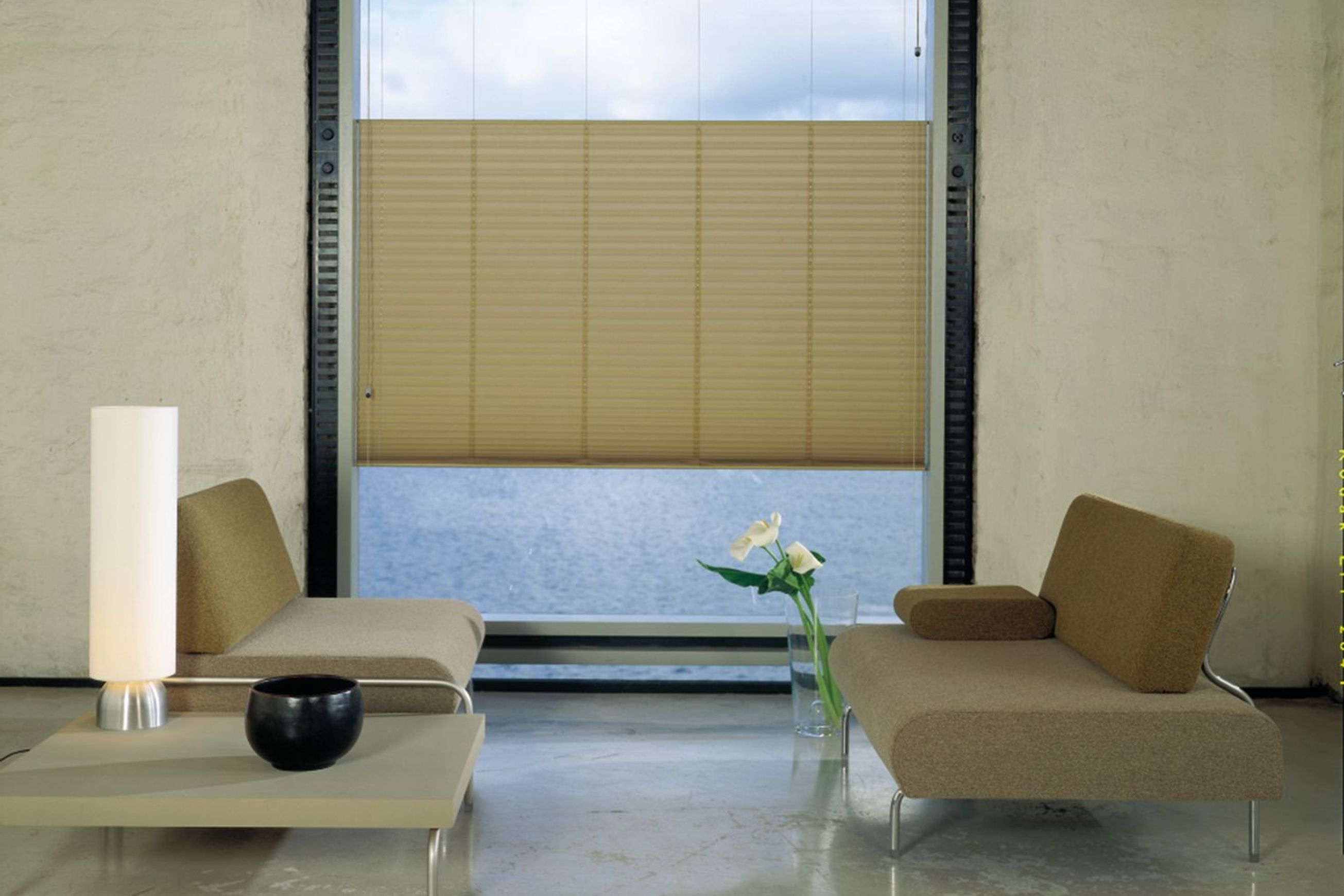 Duo Pleated Blind | Pleated Blinds