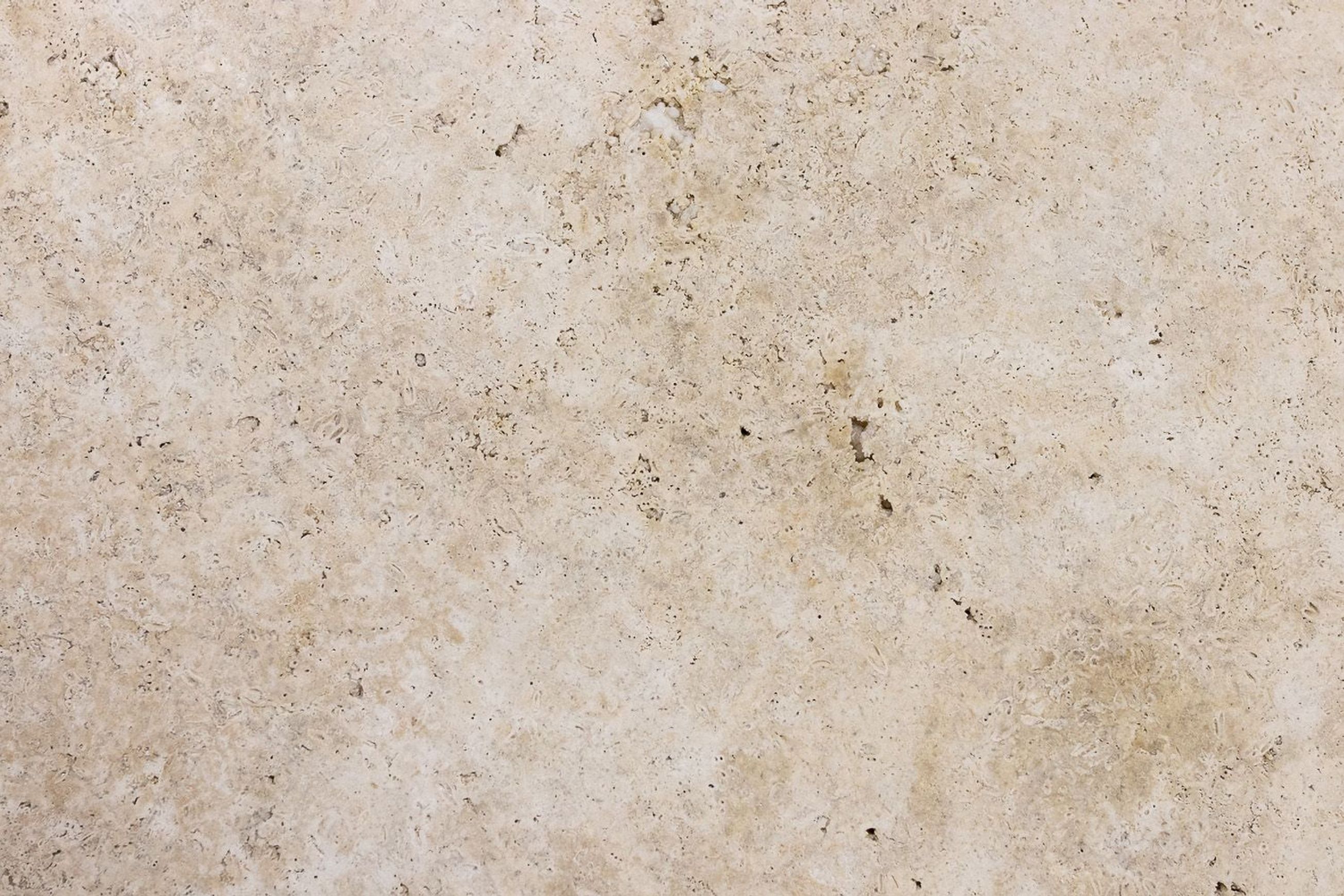 Sparta Light Travertine Collection | Stone