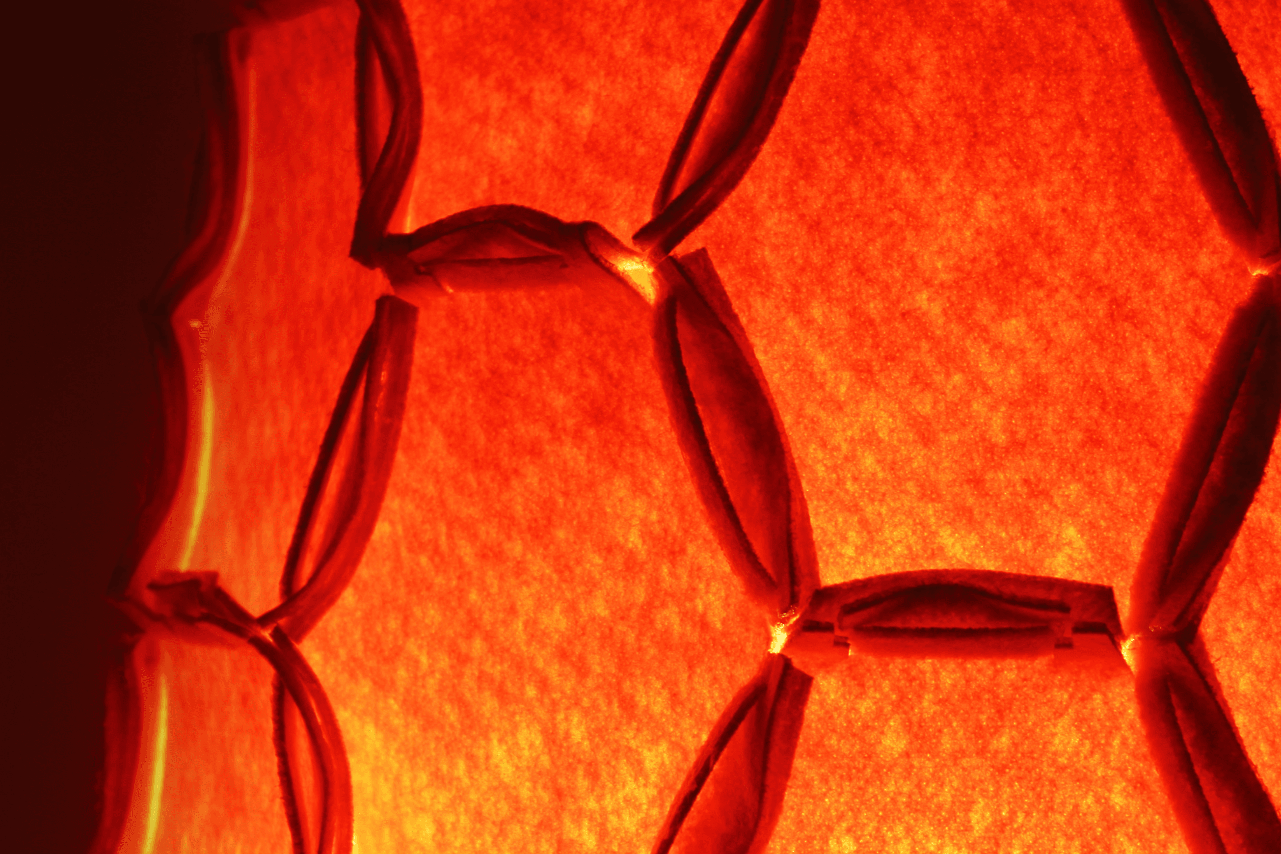 Nectar Lights