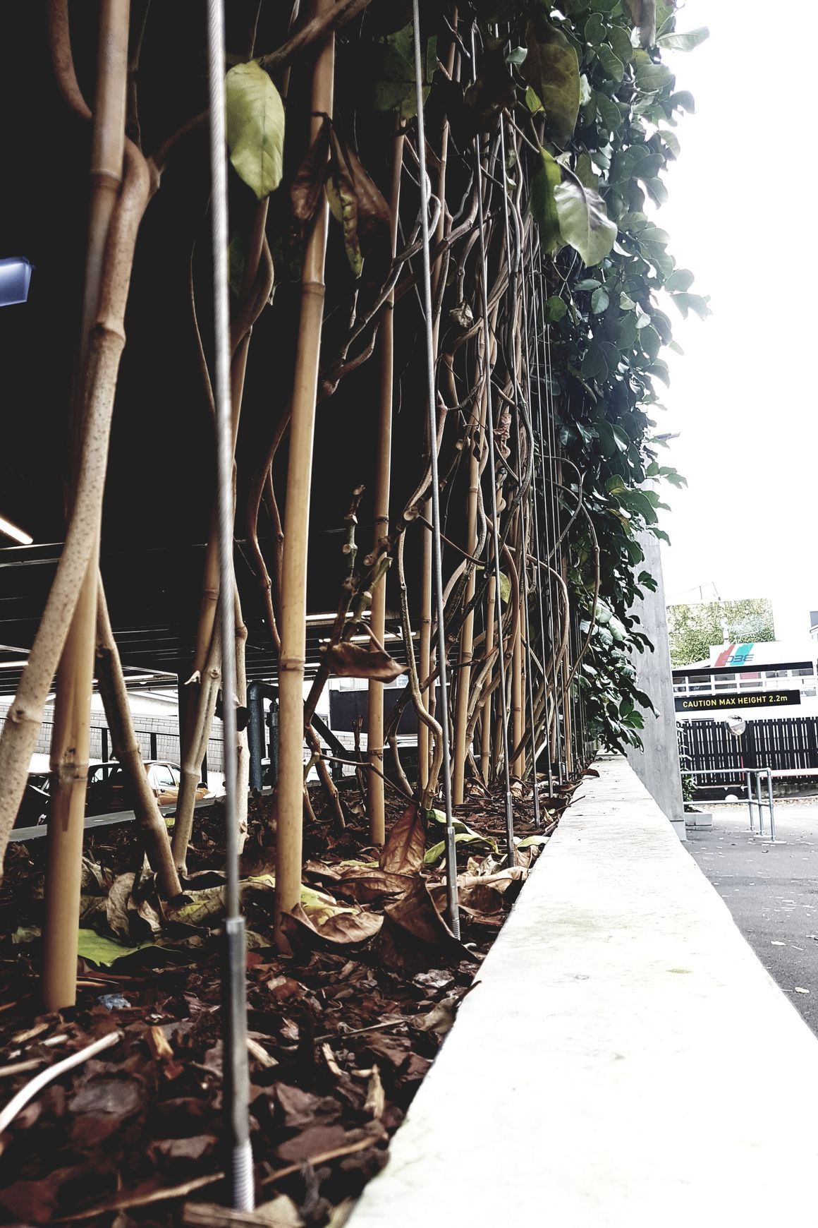 Green Wall Support Systems