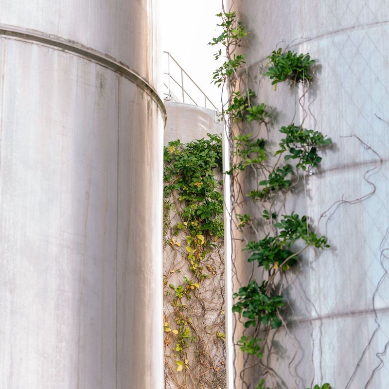 SRS Green Wall