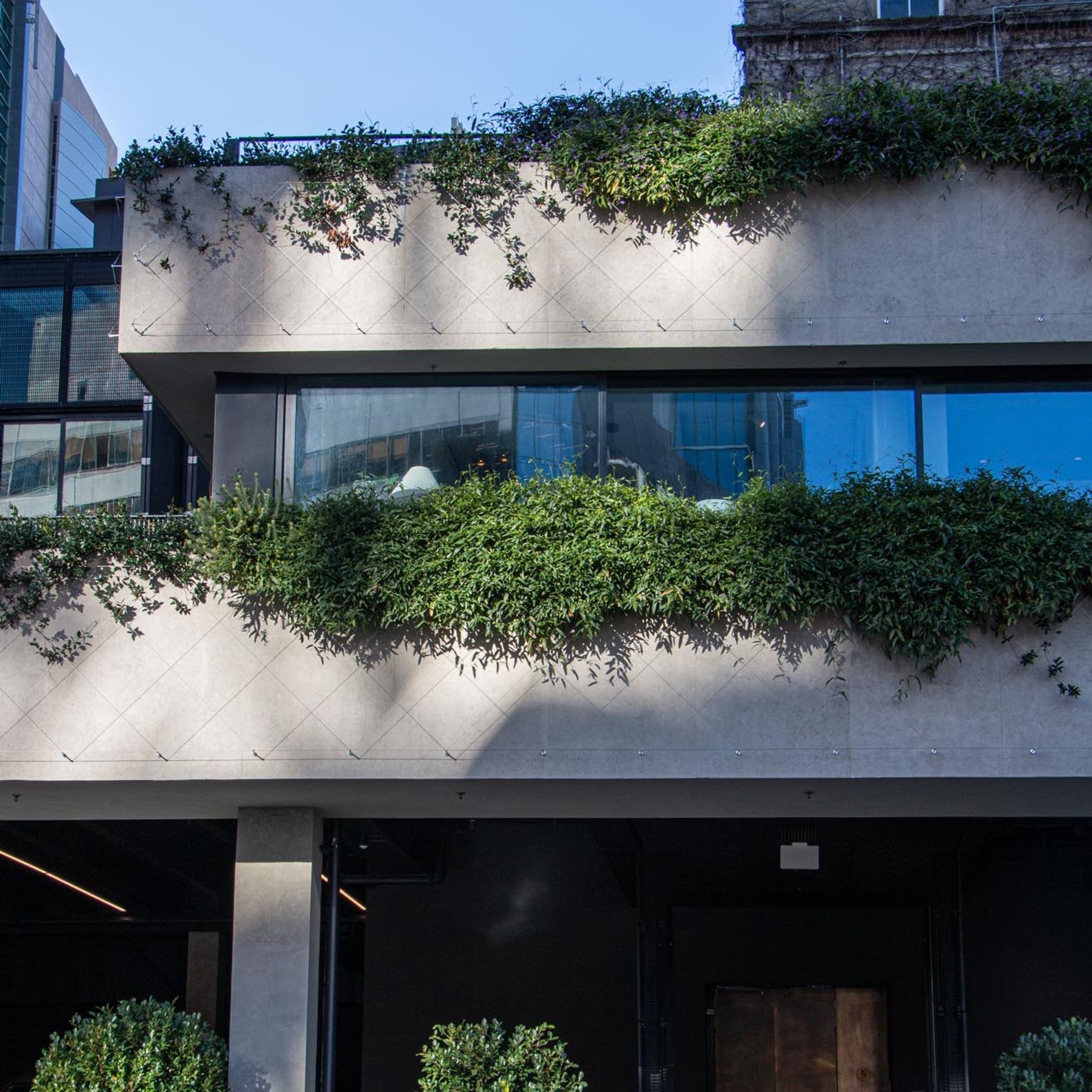Green Wall Support Systems