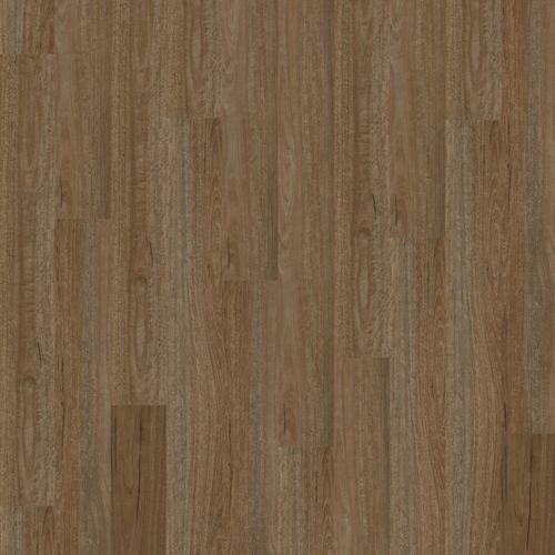 Natural Creations ArborArt | Morning Spotted Gum