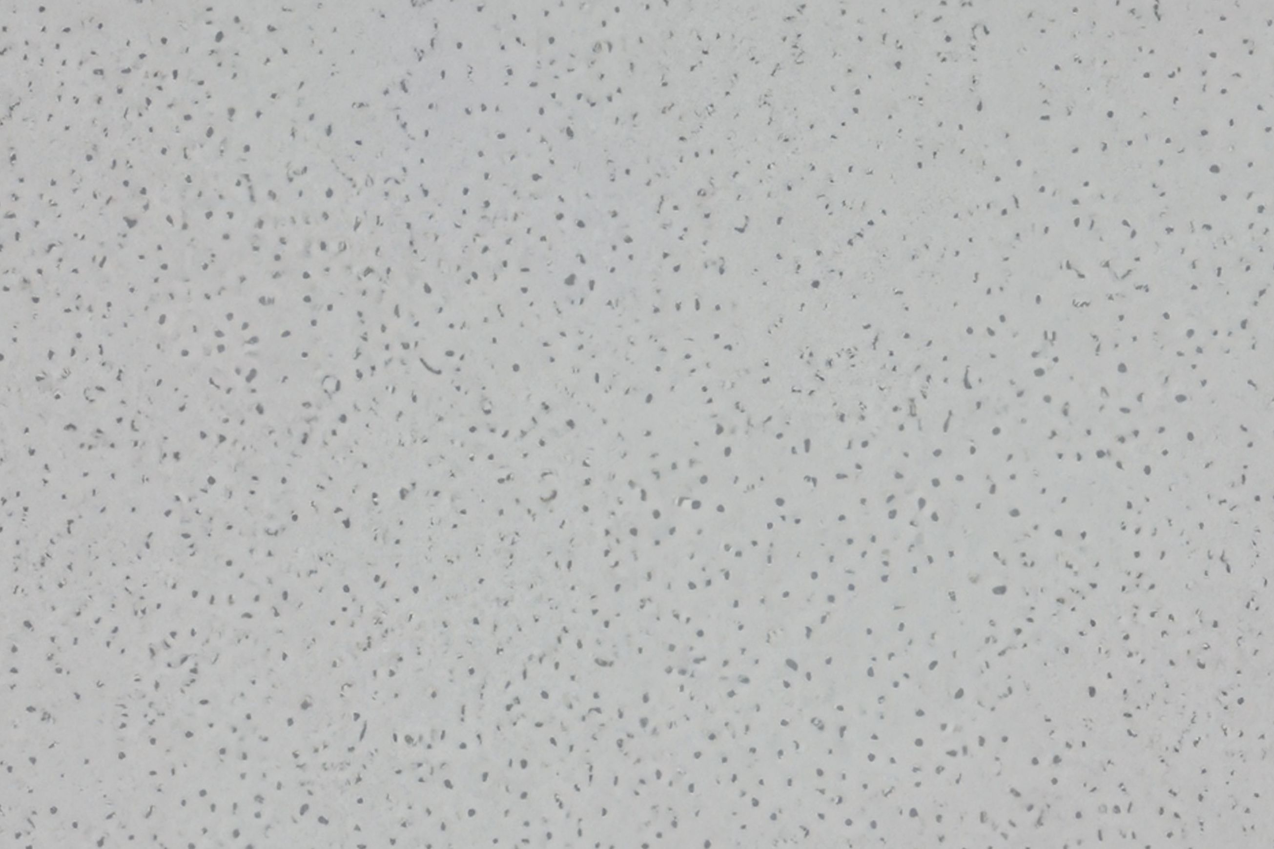 Altro Aquarius™ - R11 Bathroom Flooring