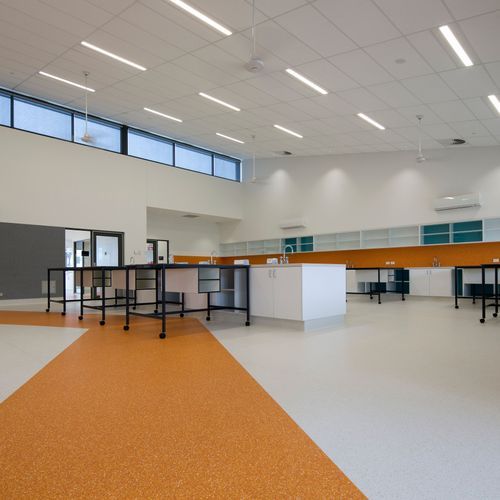 Australis | Dubbo Grey