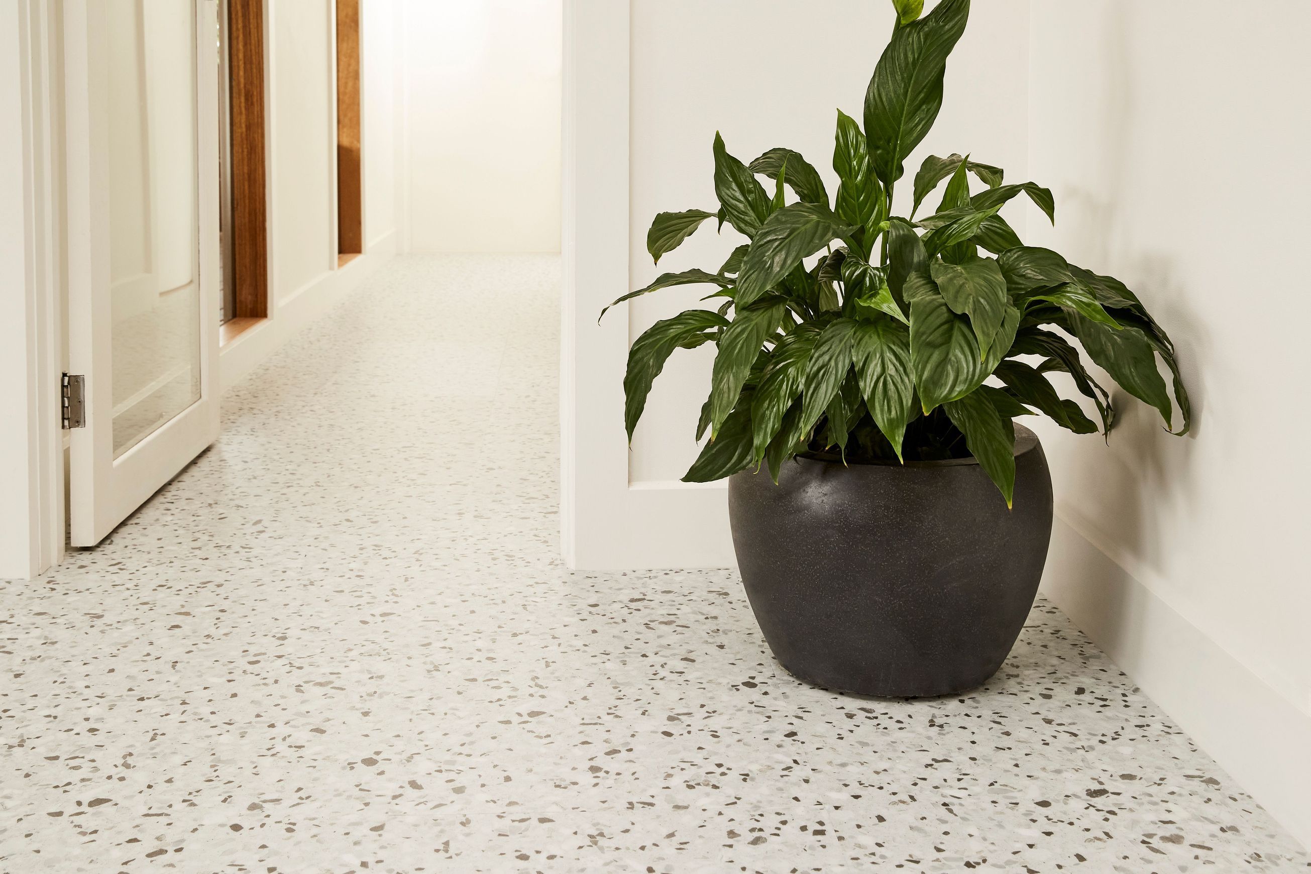 Natural Creations EarthCuts | Polished Concrete D.Grey