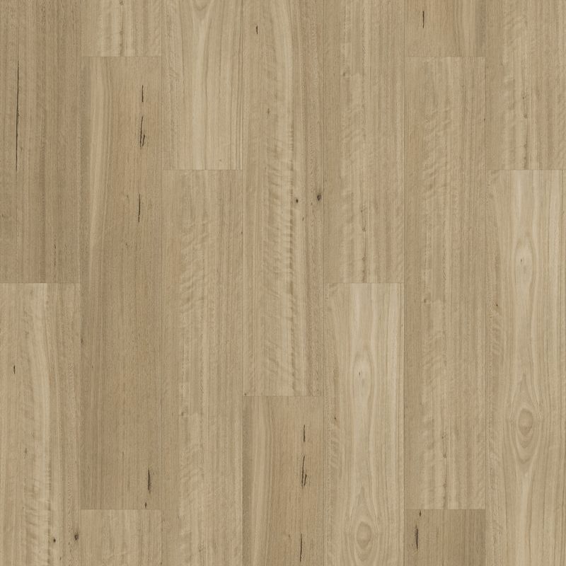 Kingswood 1.5 | Somerset Blackbutt