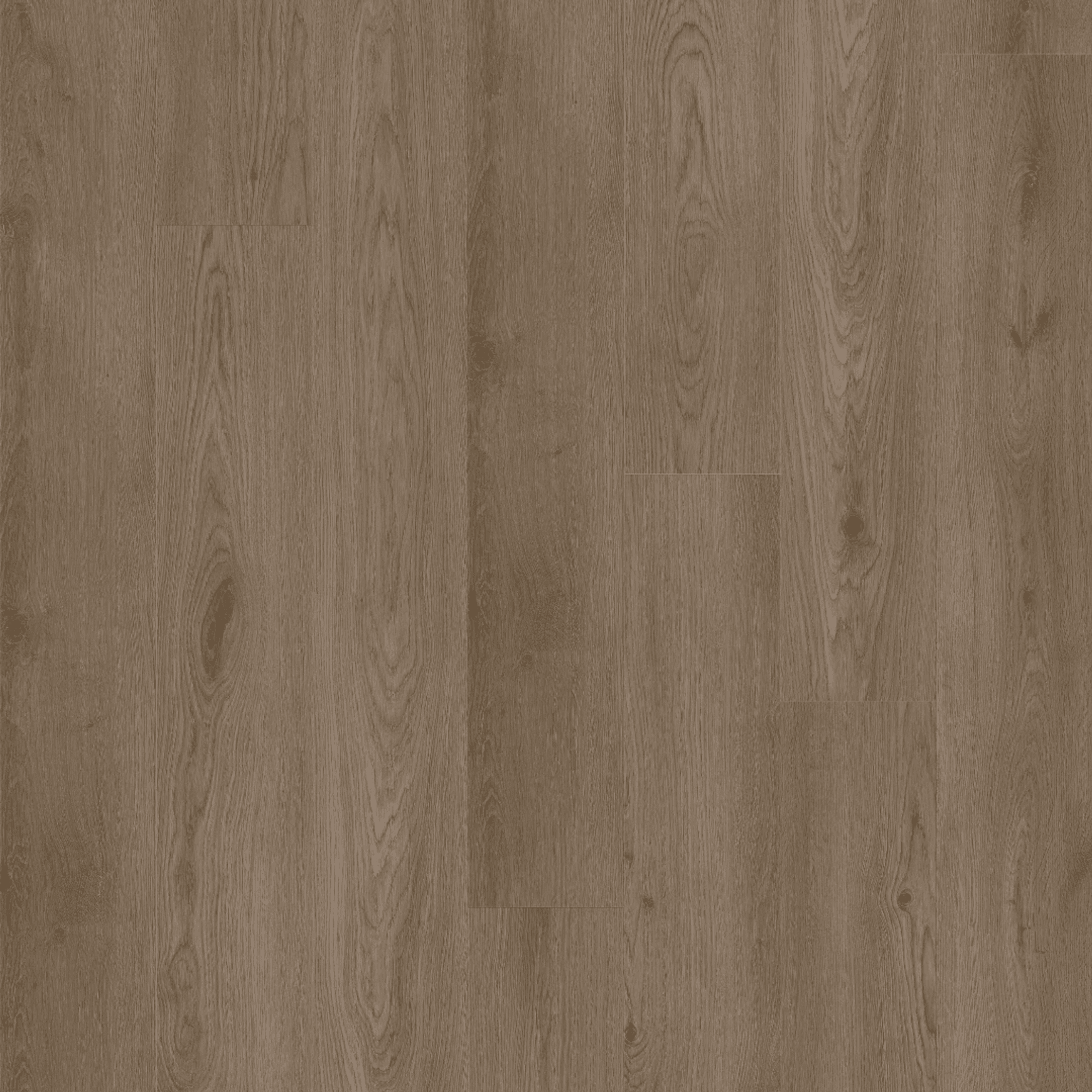 Kingswood 1.5 | Malt Oak