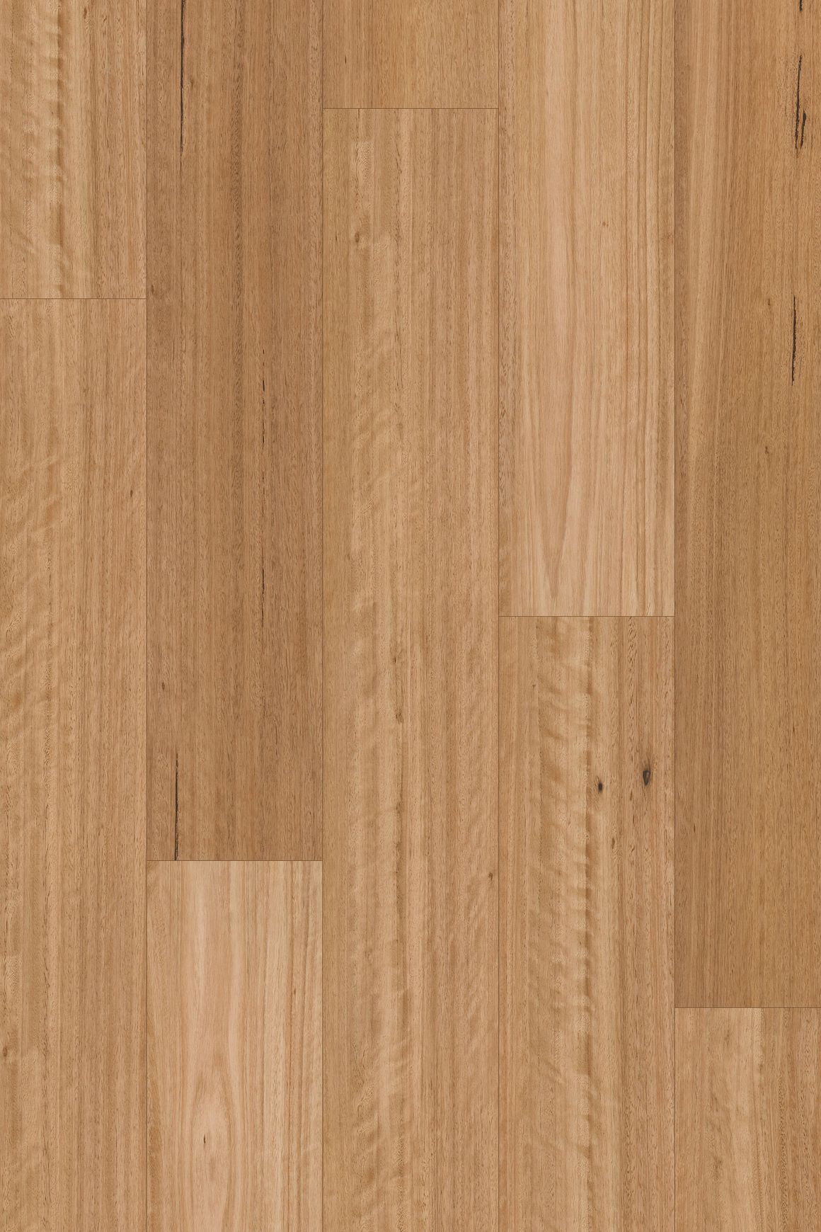 Chesterfield 2.0 | Silky Blackbutt