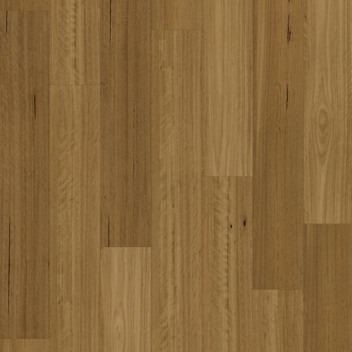 Chesterfield 2.0 | Grand Blackbutt