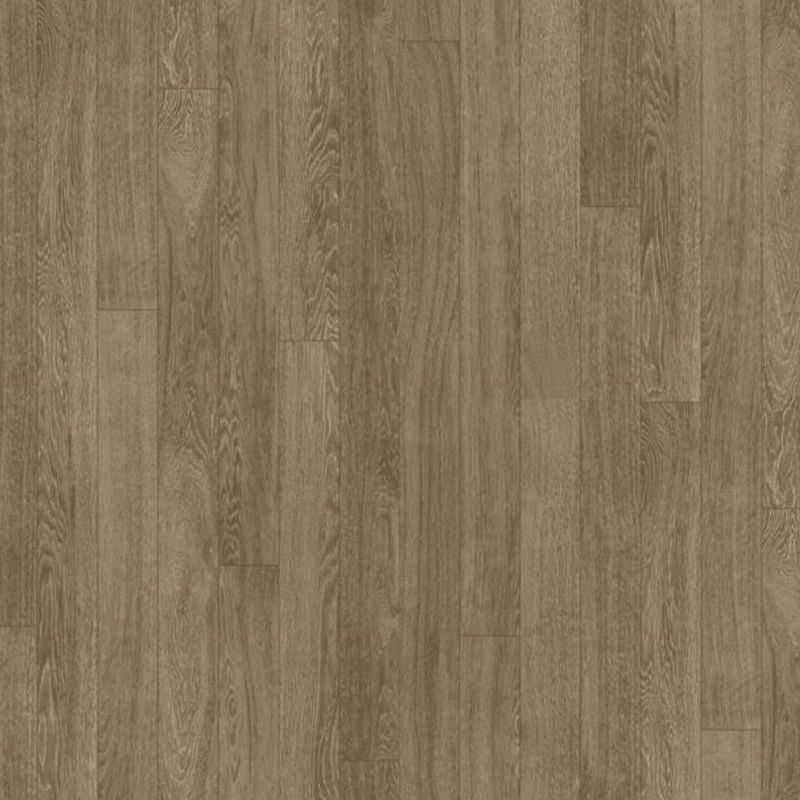 Timberline Plus | Like a Rock Plus