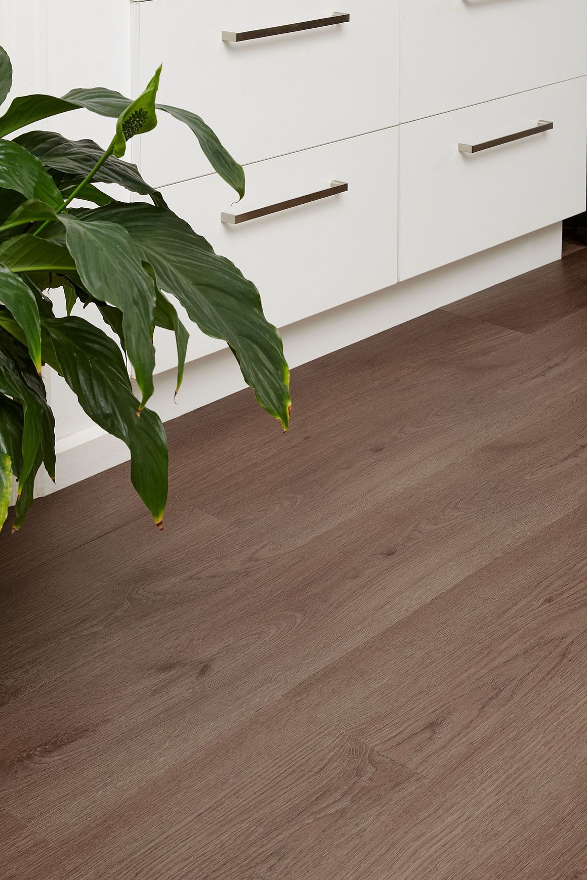 Kingswood Select Oak | Limestone Oak