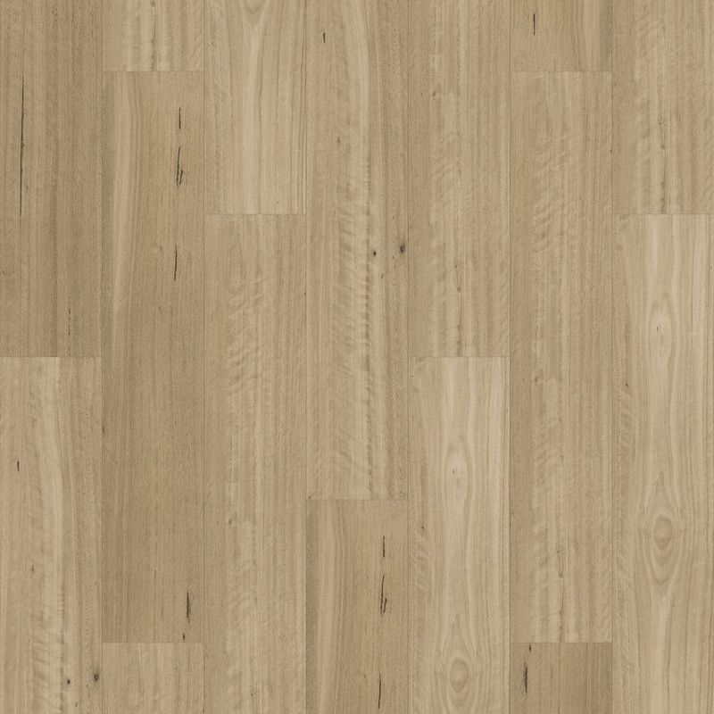 Natural Creations Longplank | Lemon Scented Gum