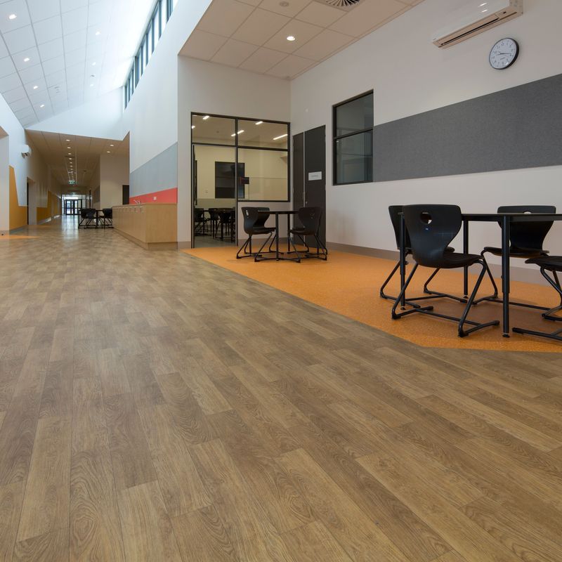 Timberline Plus | Obra Plus