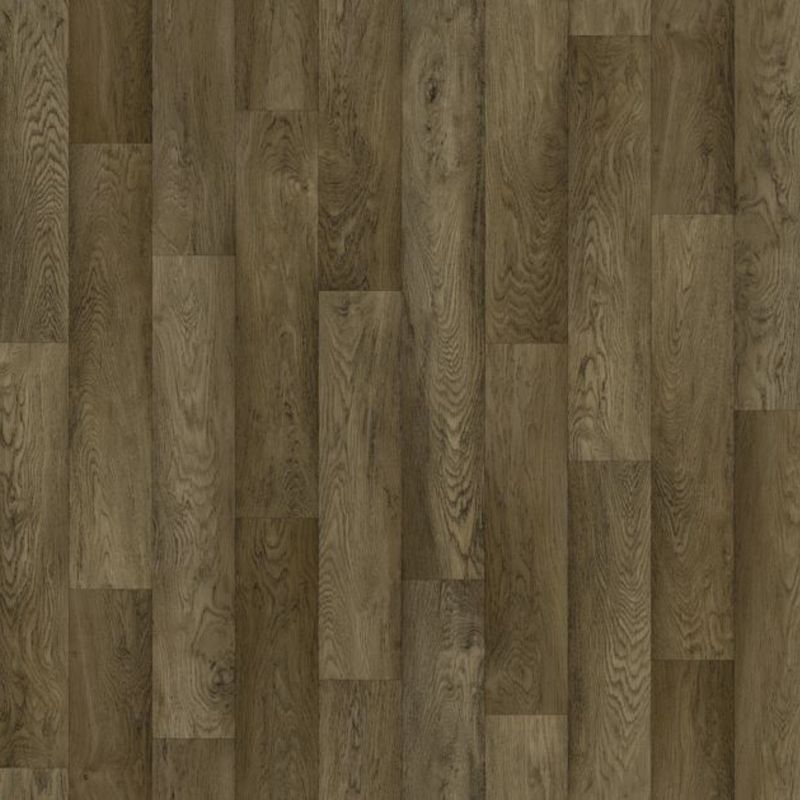 Timberline Plus | Well Versed Plus