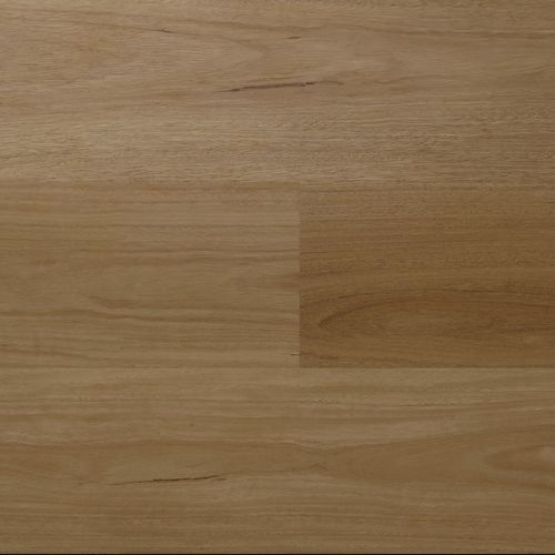 Inspiration Ultimate Spotted Gum | Hybrid Flooring