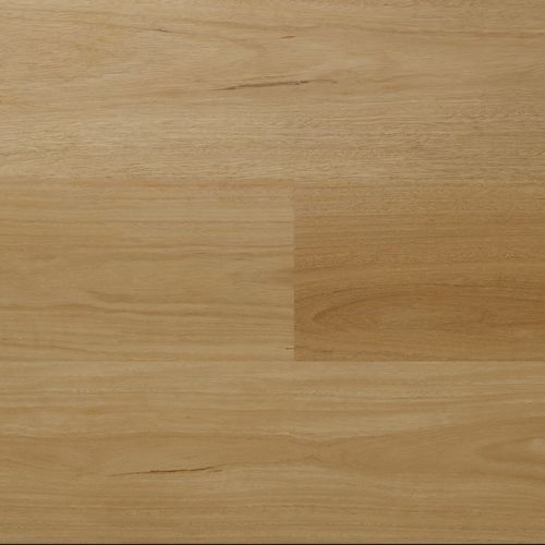 Inspiration Ultimate Spotted Gum Modern Hybrid Flooring