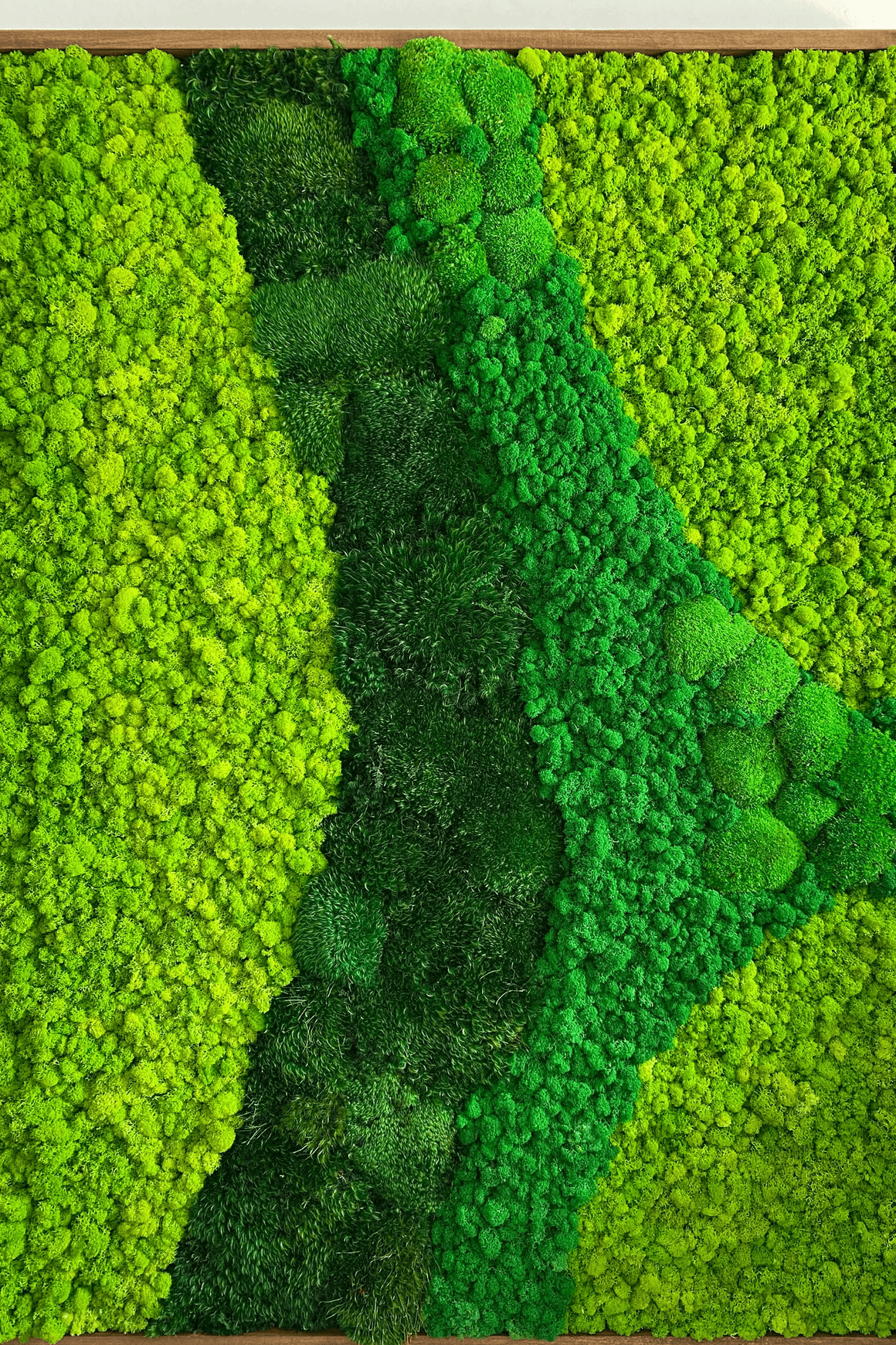 Moss Wall Art - Cordillera