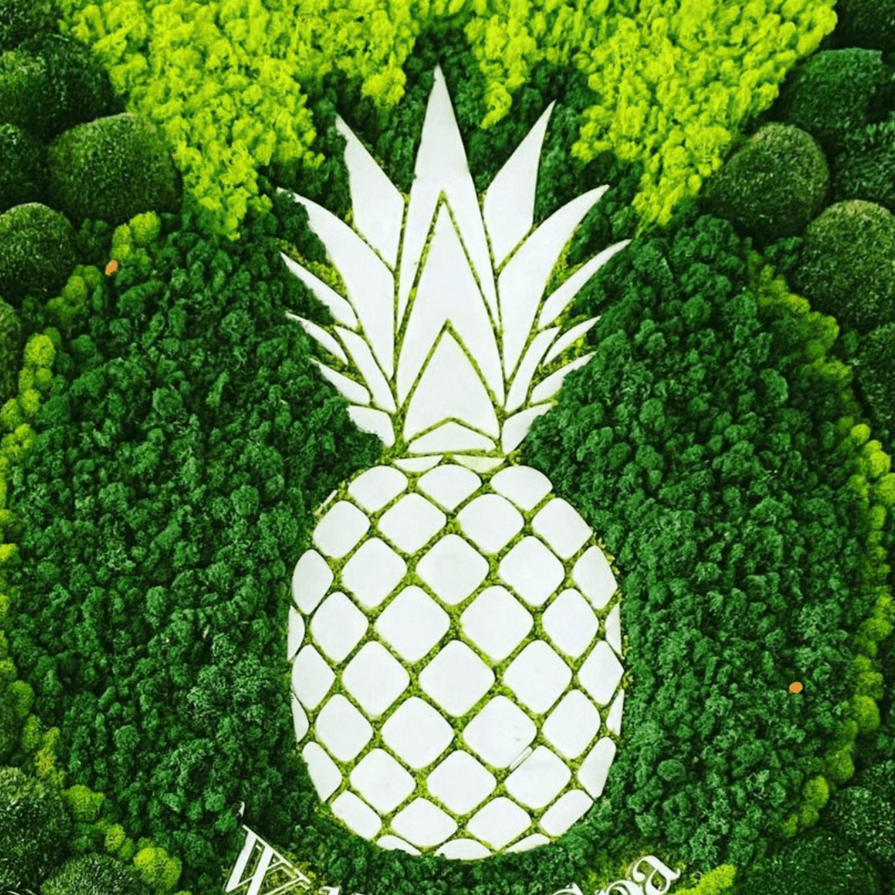 Moss Wall Art - Custom Business Logo/Signage