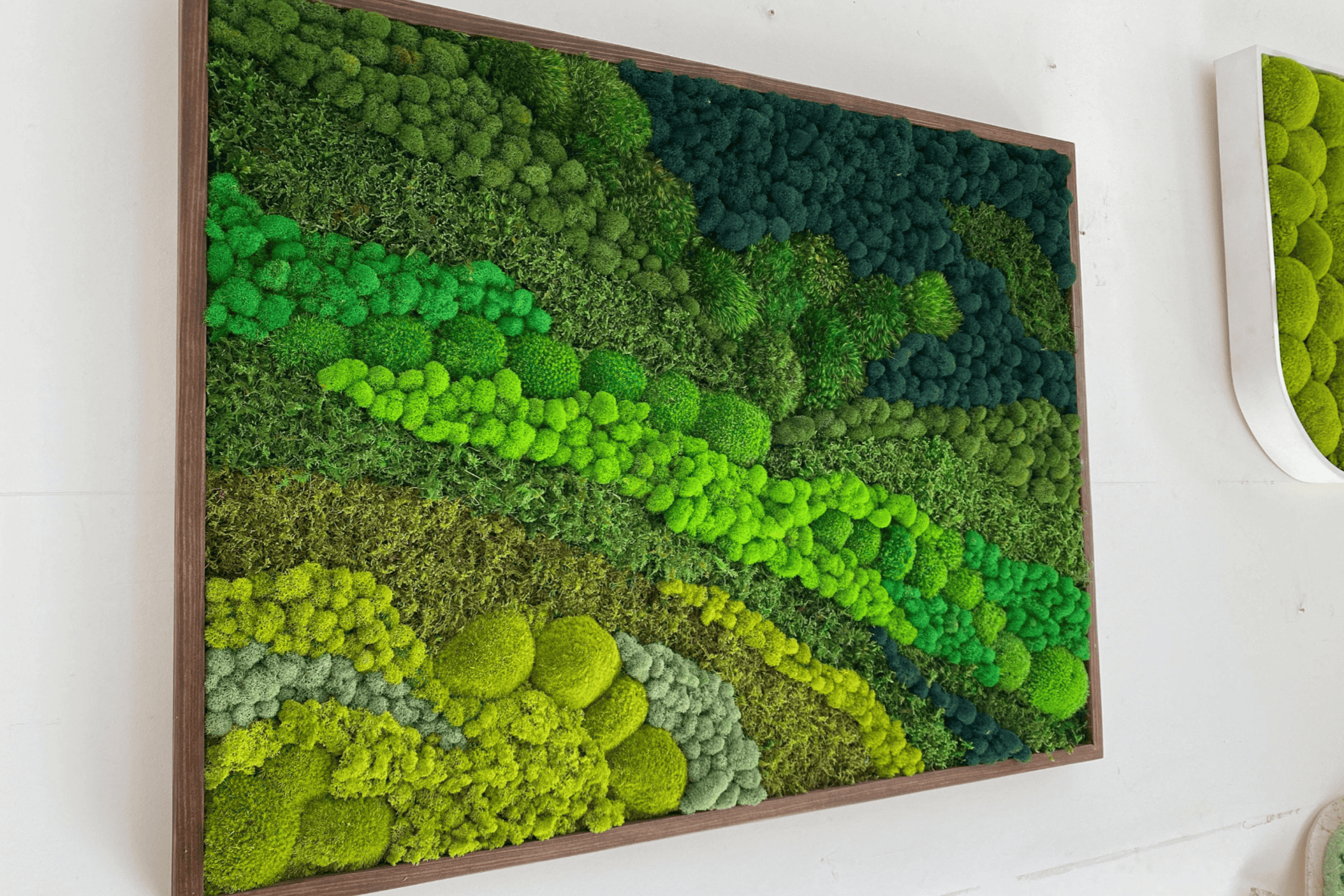 Moss Wall Art - Rolling Hills