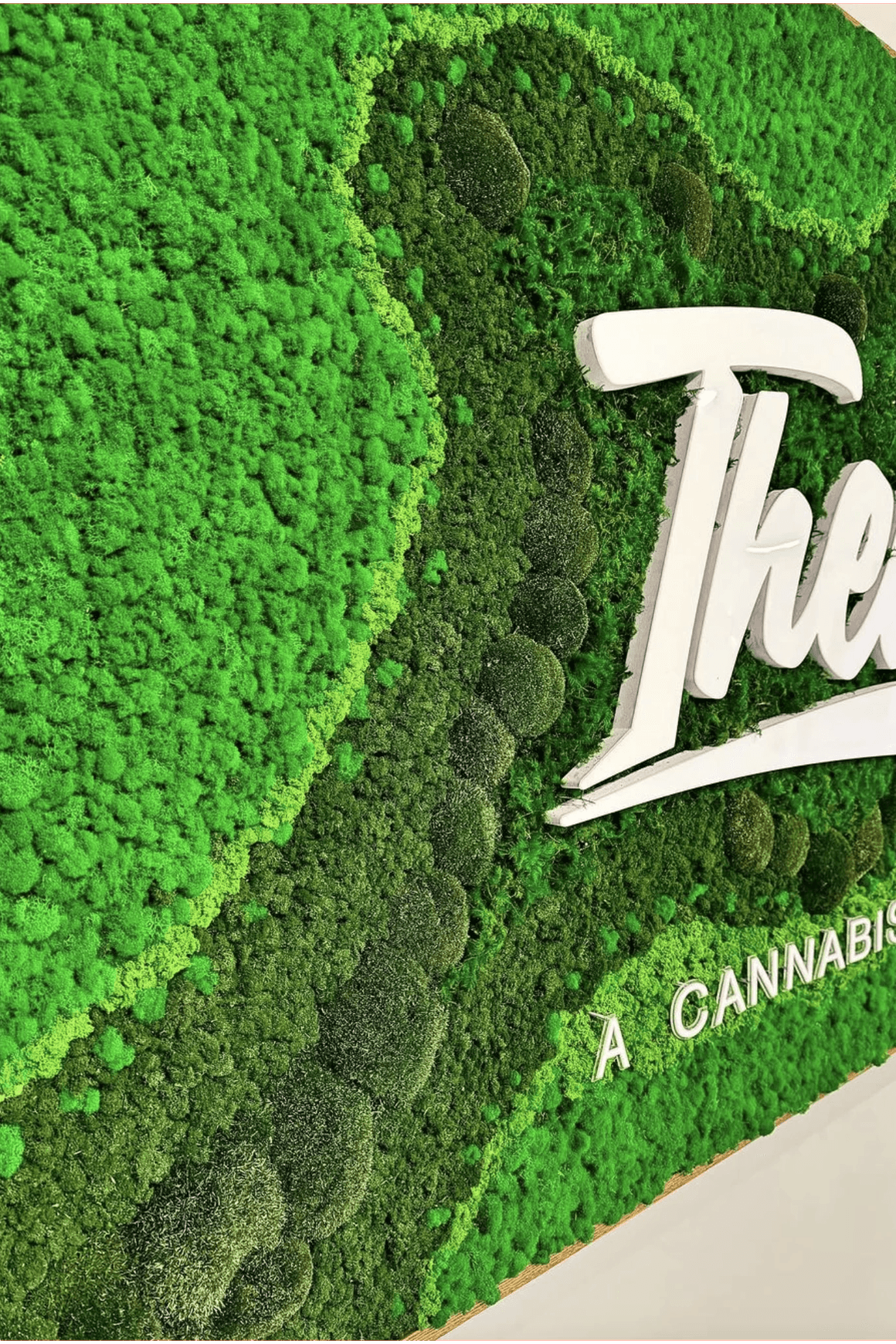 Moss Wall Art - Custom Business Logo/Signage