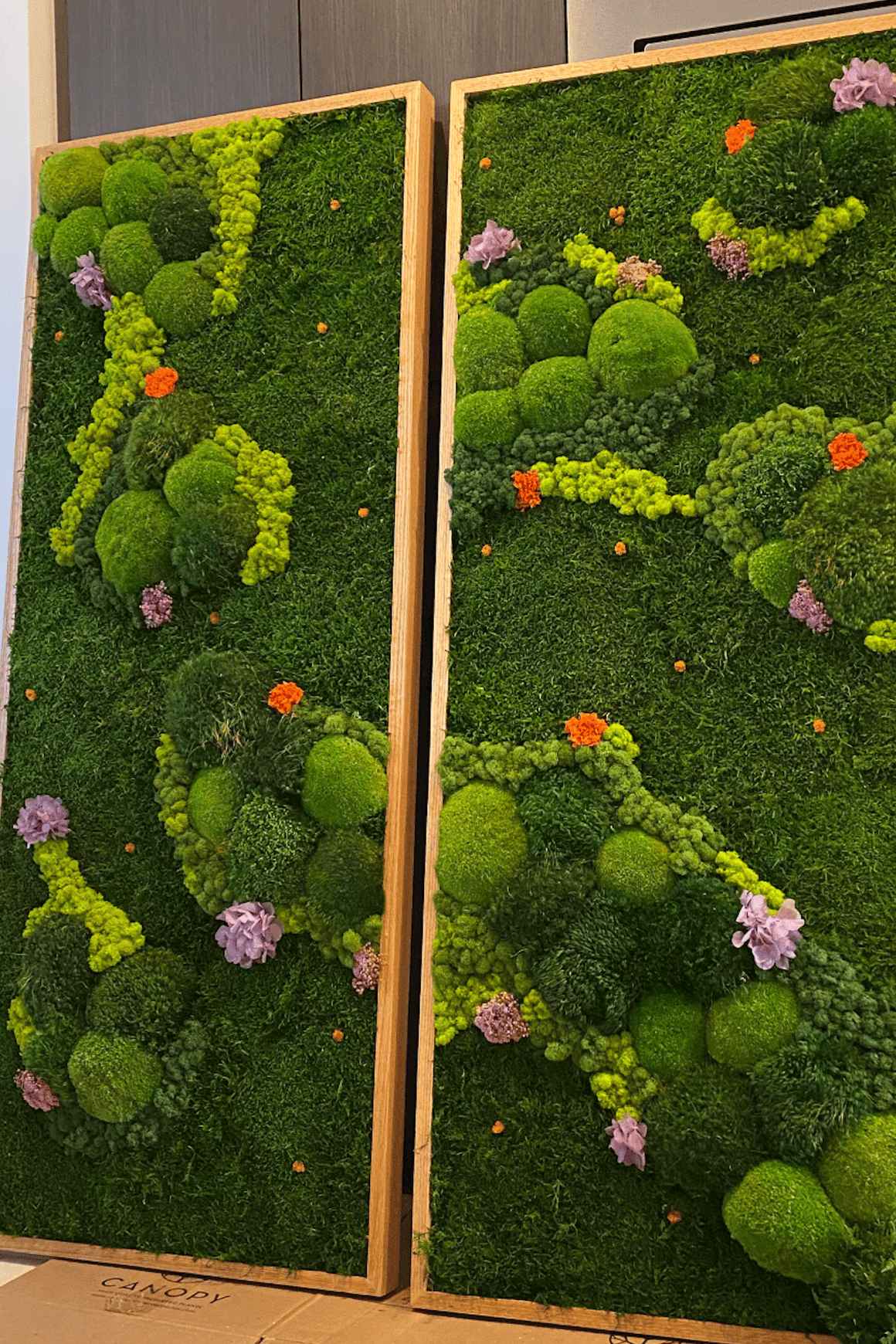 Moss Wall Art - Lavender Hills