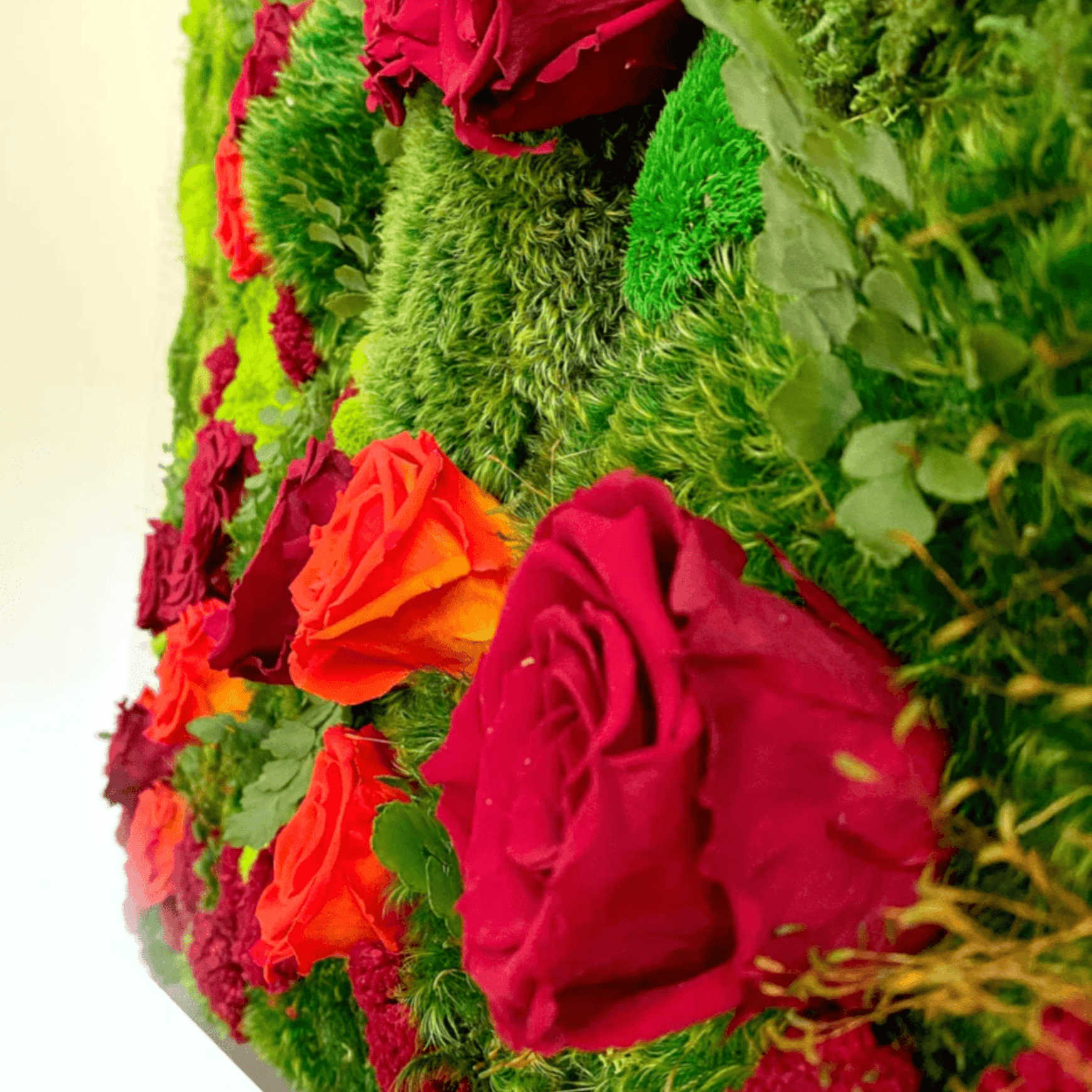 Moss Wall Art - Jardín De Rosas