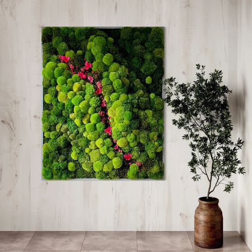 Moss Wall Art - Orchids