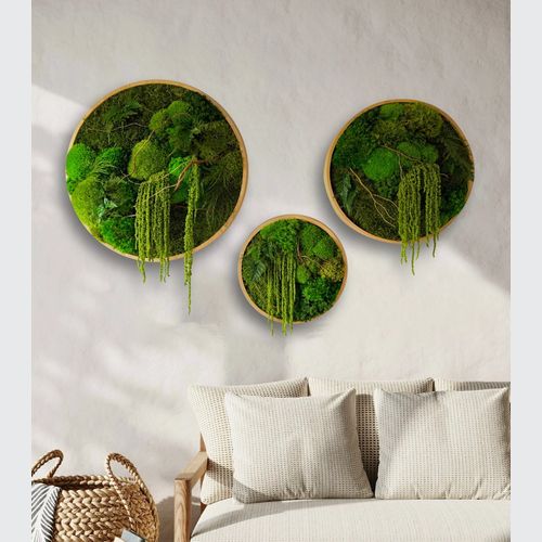 Round Moss Wall Art - Enchanted Forest