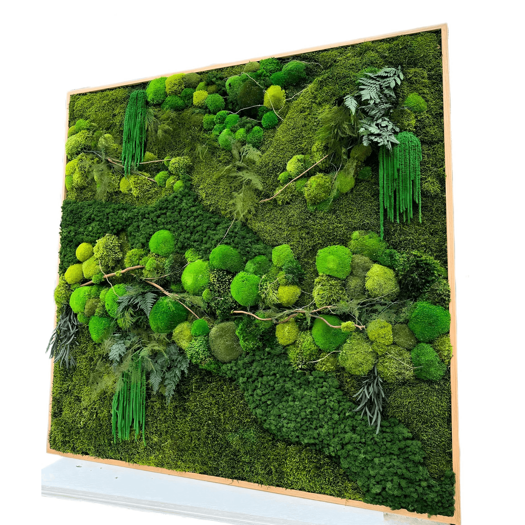 Moss Wall Art - Tumacau