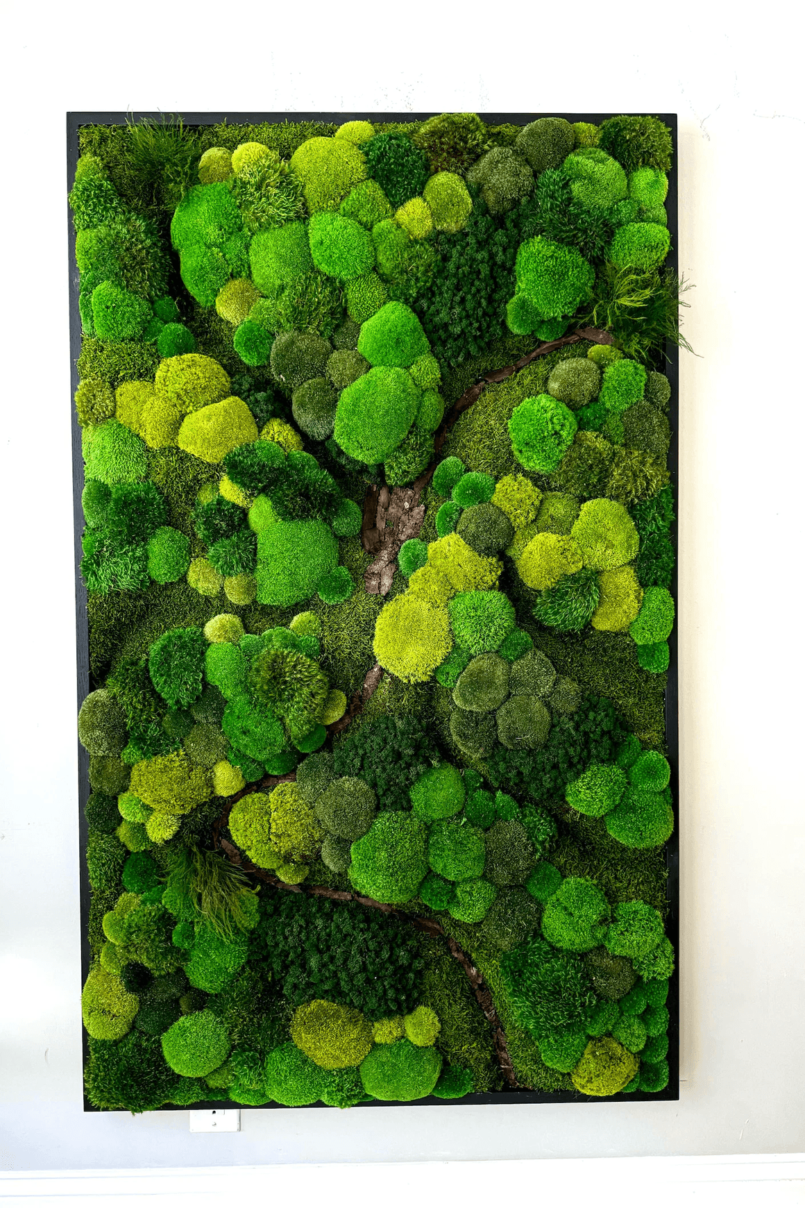 Moss Wall Art - Corteza