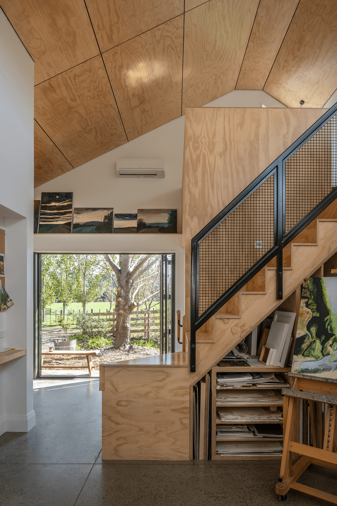 PlyPlay™ Pine