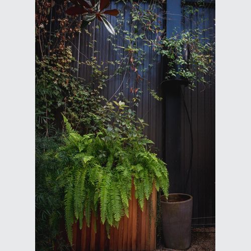SRS Green Facades | Screens