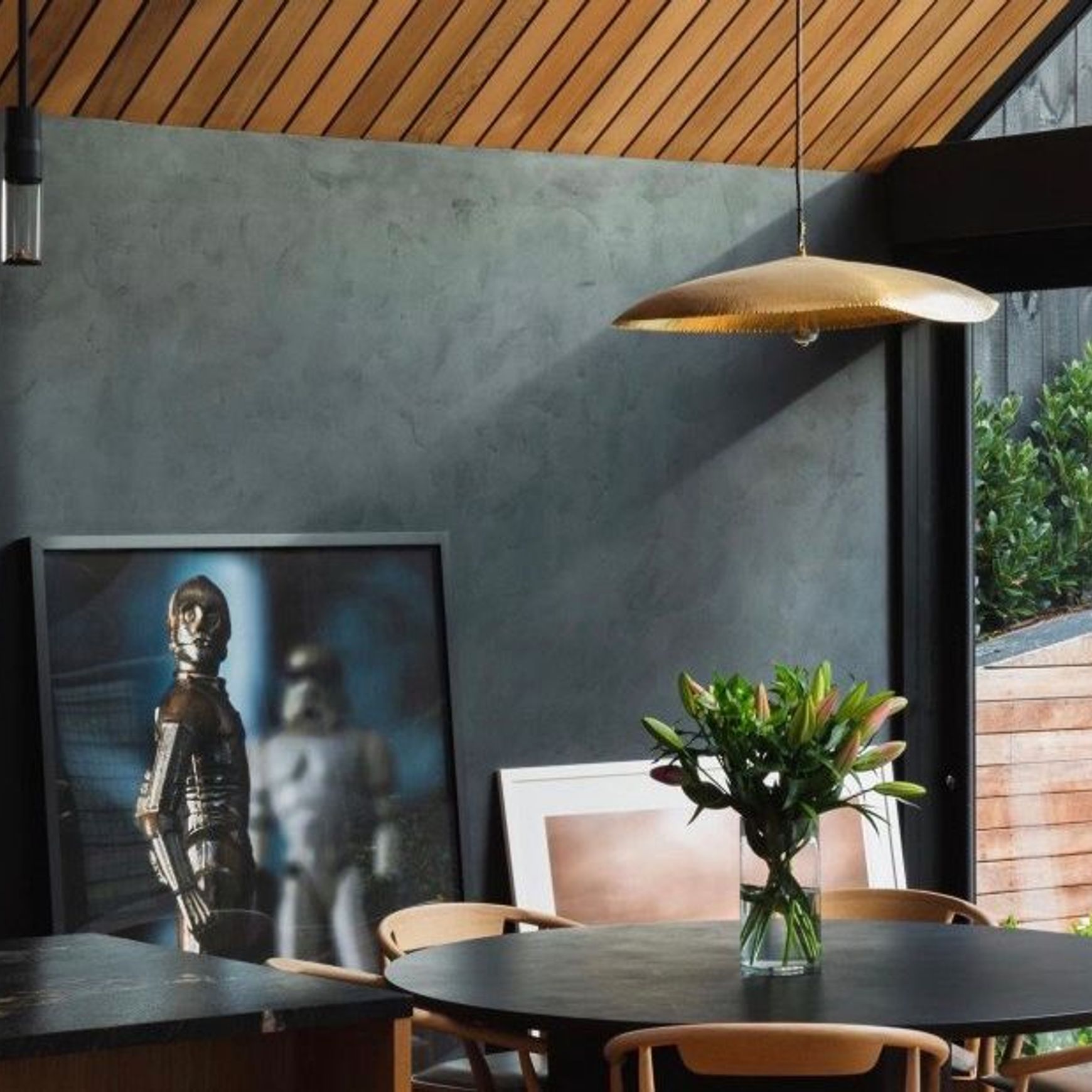 Suave Polished Plaster